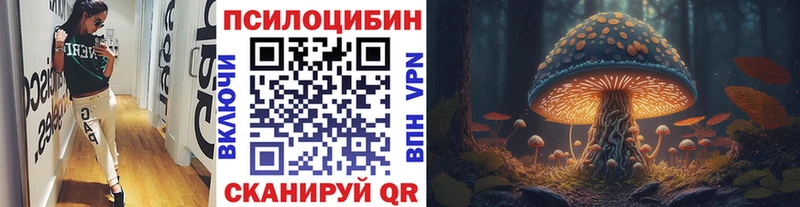 Псилоцибиновые грибы MAGIC MUSHROOMS  купить наркоту  Пласт 
